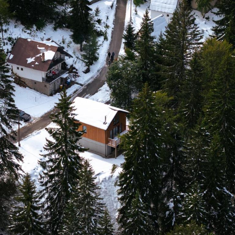 Gorska Vila - Chalet 3 Chambres - 5
