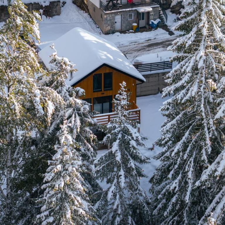 Gorska Vila - Chalet 3 Chambres - 4
