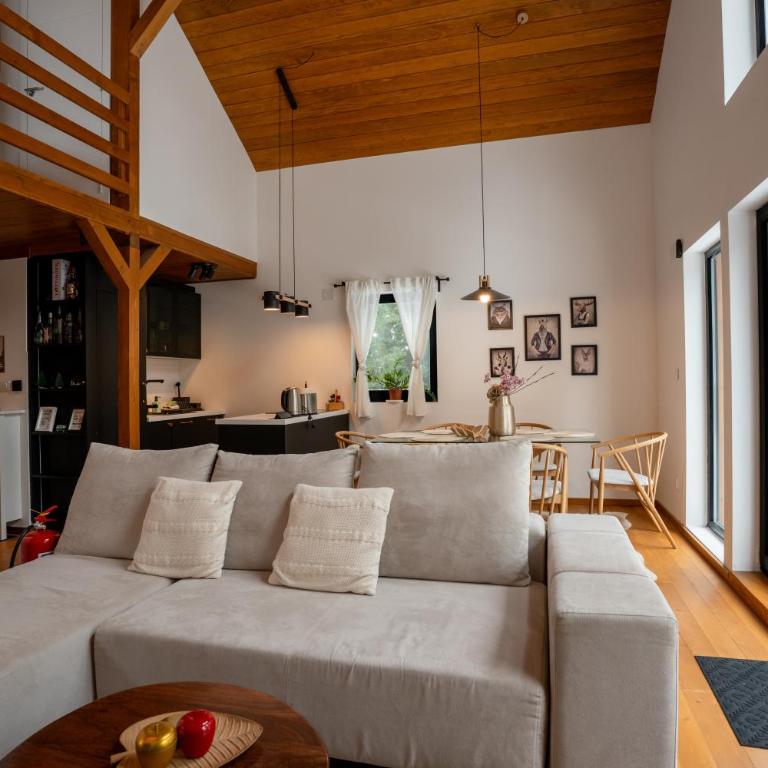 Gorska Vila - Chalet 3 Chambres - 13