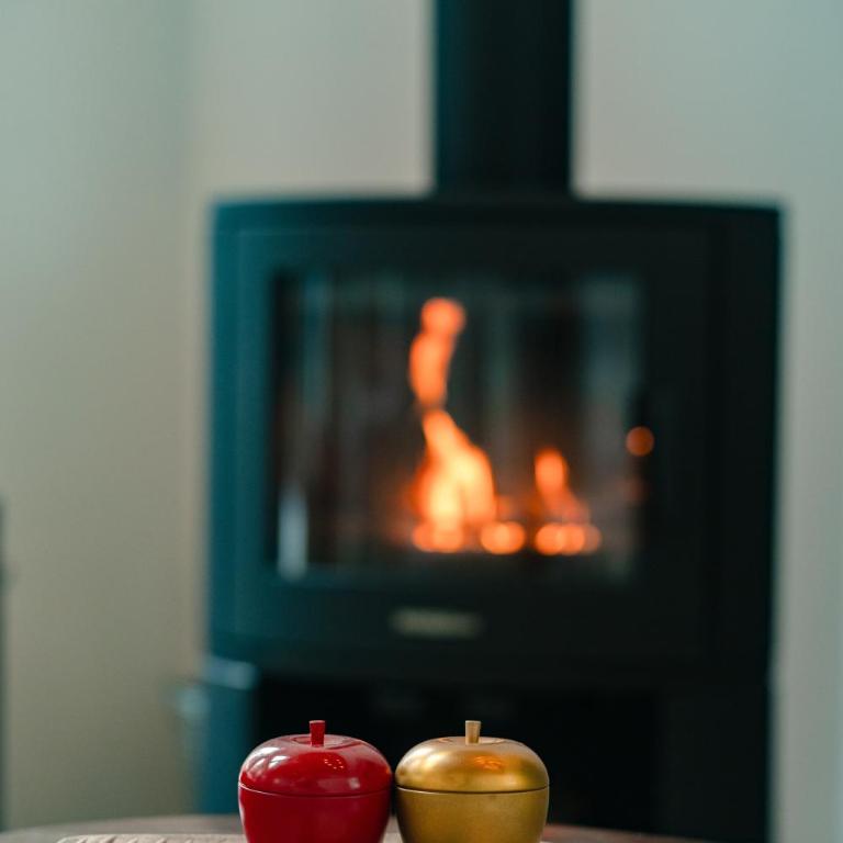 Gorska Vila - Chalet 3 Chambres - 42