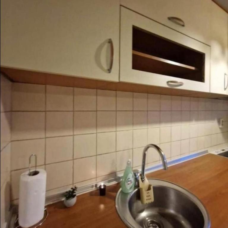 Apartmani Benjamin - Deluks Apartman - 4