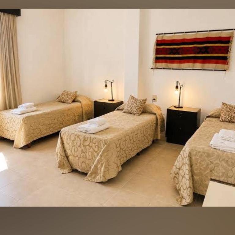 Departamentos los Olivos - Apartamento de 2 dormitorios - 13