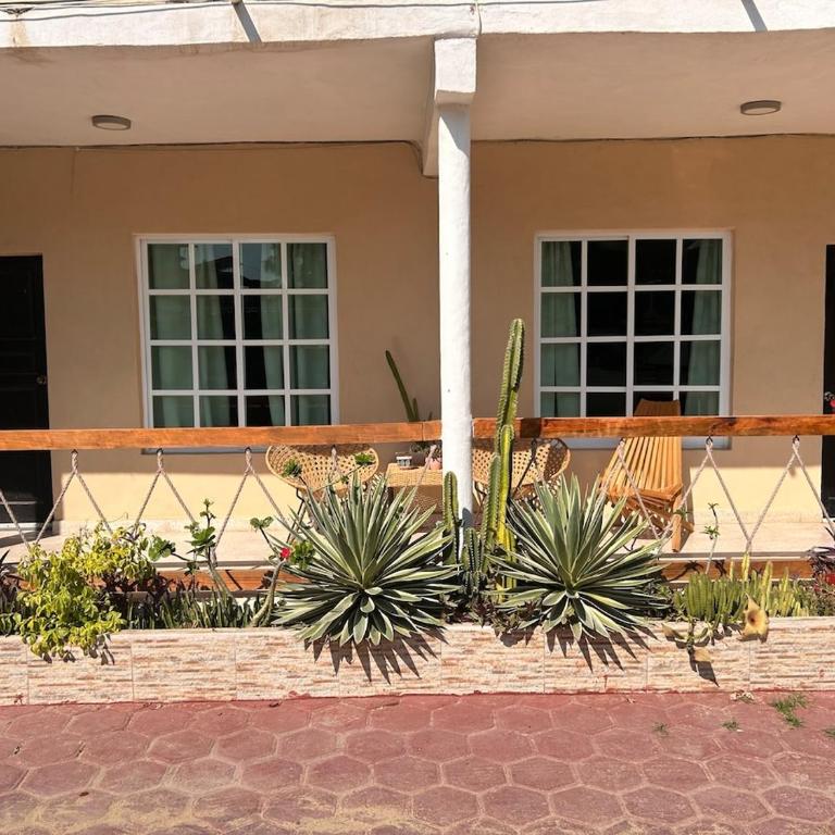Apartment by the sea - Apartamento de 1 dormitorio - 6