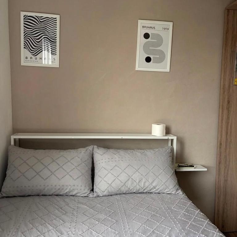 Habitación privada en departamento compartido centro de la cuidad de México CDMX Buenavista, cerca de reforma revolución zocalo - Habitación Doble Estándar - 4