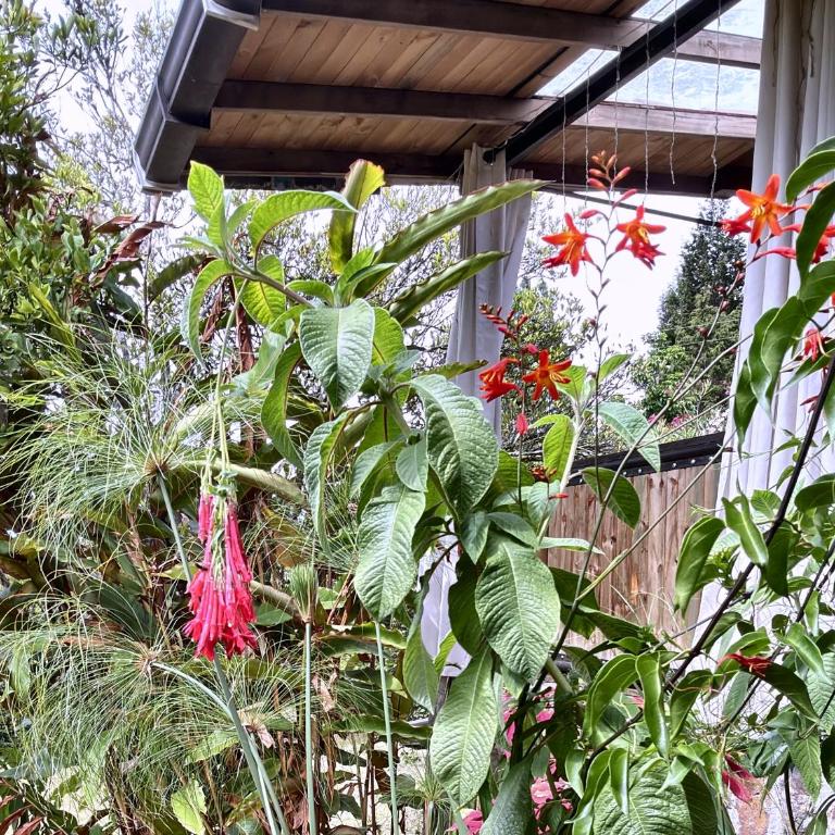 CABAÑAS MONTEVERDE - Guarne ANT - One-Bedroom Chalet - 23
