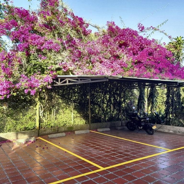 CABAÑAS MONTEVERDE - Guarne ANT - One-Bedroom Chalet - 26