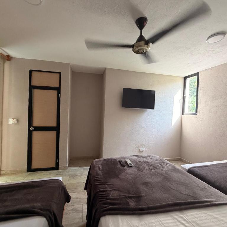 Hostal Casa Roma Tayrona - Habitación Triple Confort - 10