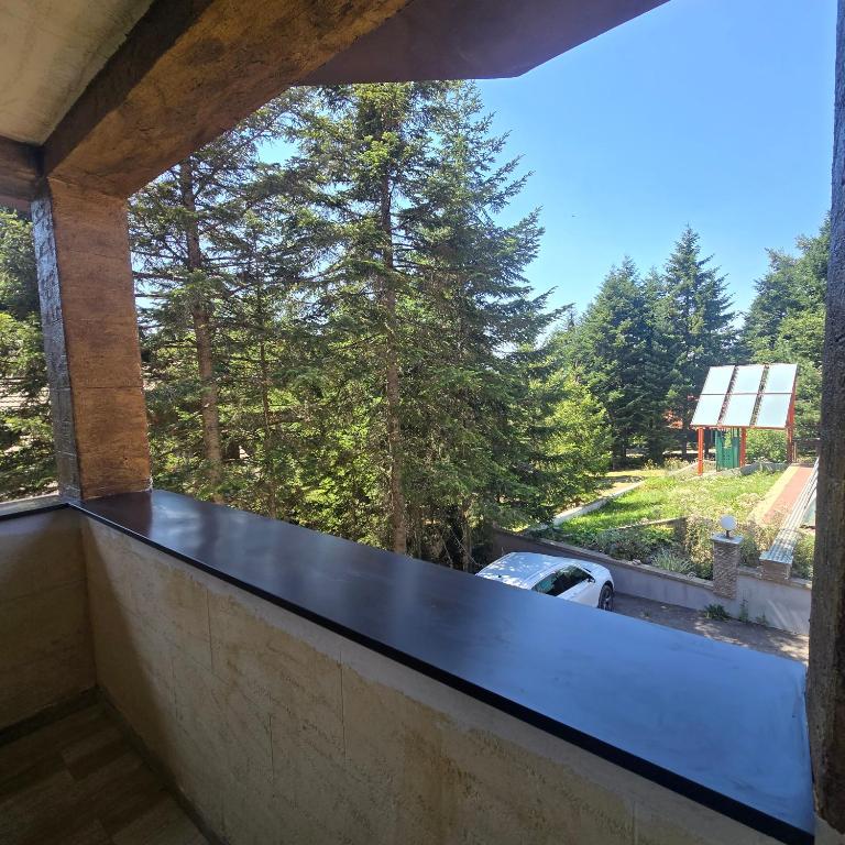 Dve sovice Divcibare - Apartman - 17