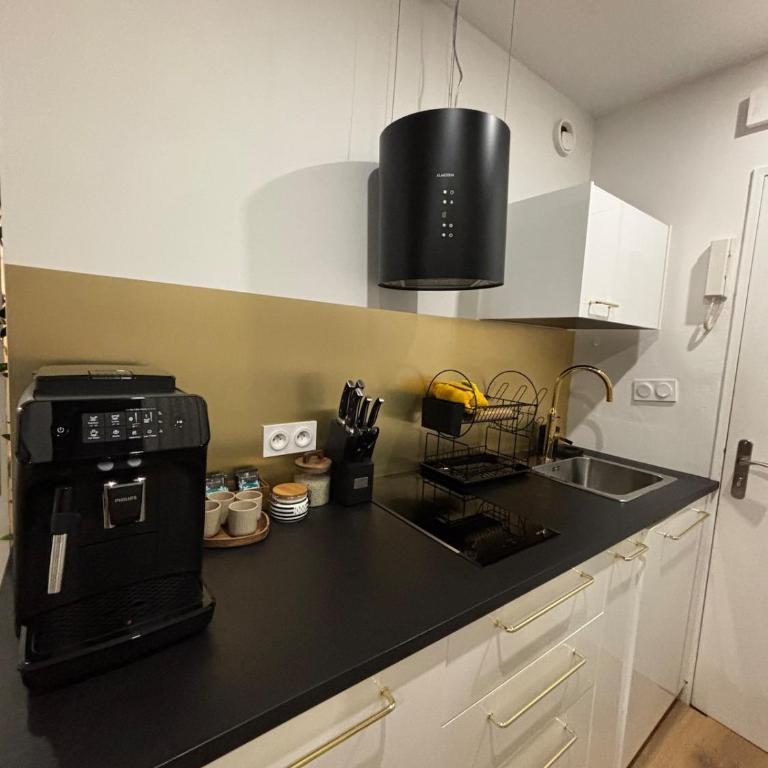 Studio plein centre de Concarneau, 50 m de la mer - Appartement 1 Chambre - 5