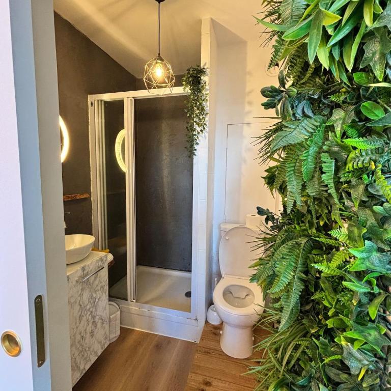 Studio plein centre de Concarneau, 50 m de la mer - Appartement 1 Chambre - 9