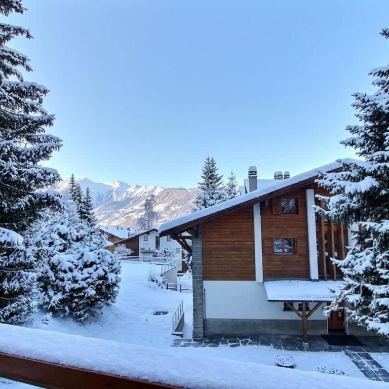 Skirama 018 - Appartement - 9