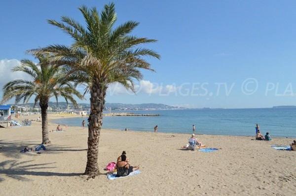 Toit terrasse Mandelieu La Napoule - Apartamento de 2 dormitorios - 21