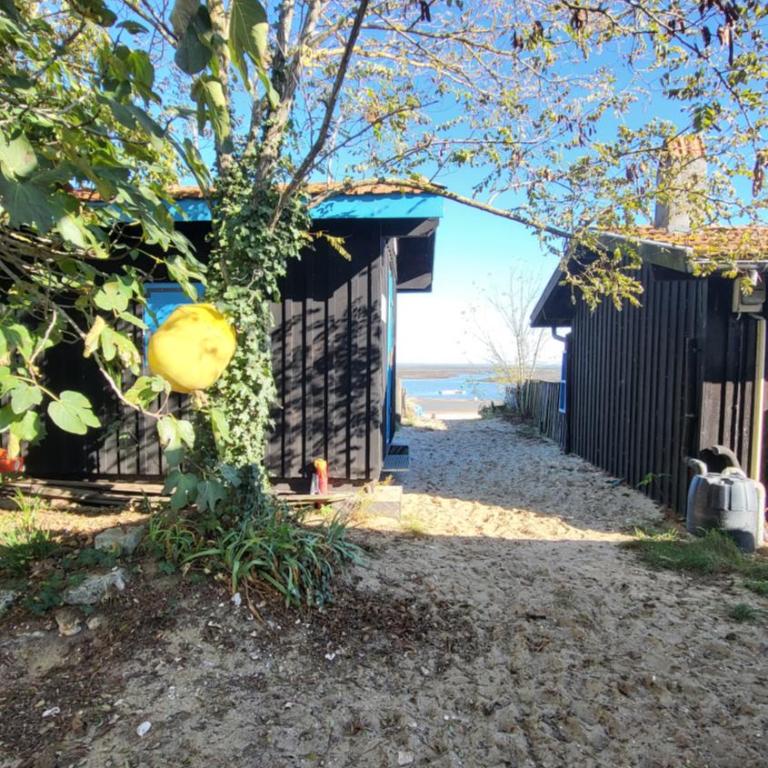 Studio belle vue, calme, balcon et parking - Apartment mit 1 Schlafzimmer - 13