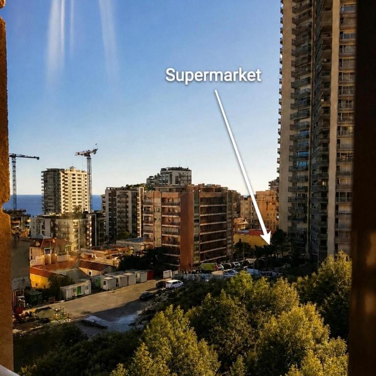 Home for 2 few steps from center of Monte Carlo - Appartement - 25