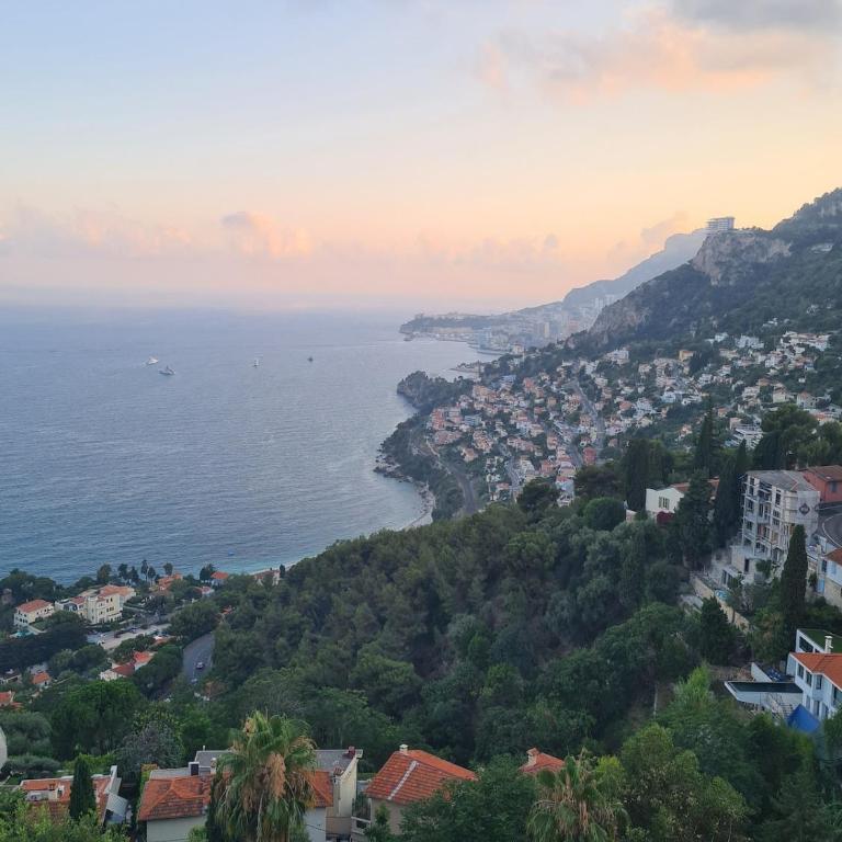 Studio avec balcon à 100m de la plage Menton Monaco - Apartment mit 1 Schlafzimmer - 9