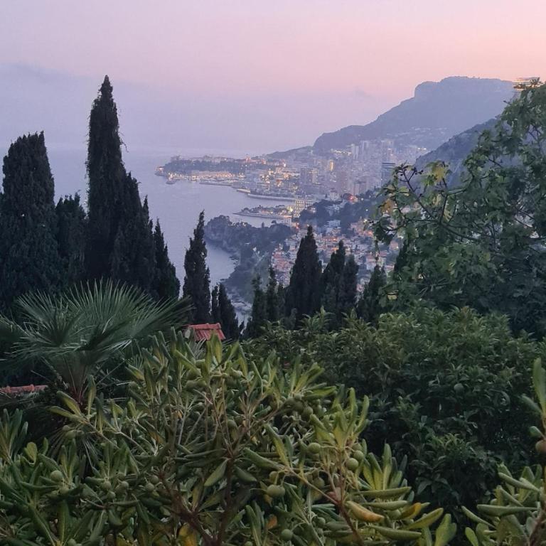 Studio avec balcon à 100m de la plage Menton Monaco - Apartment mit 1 Schlafzimmer - 24