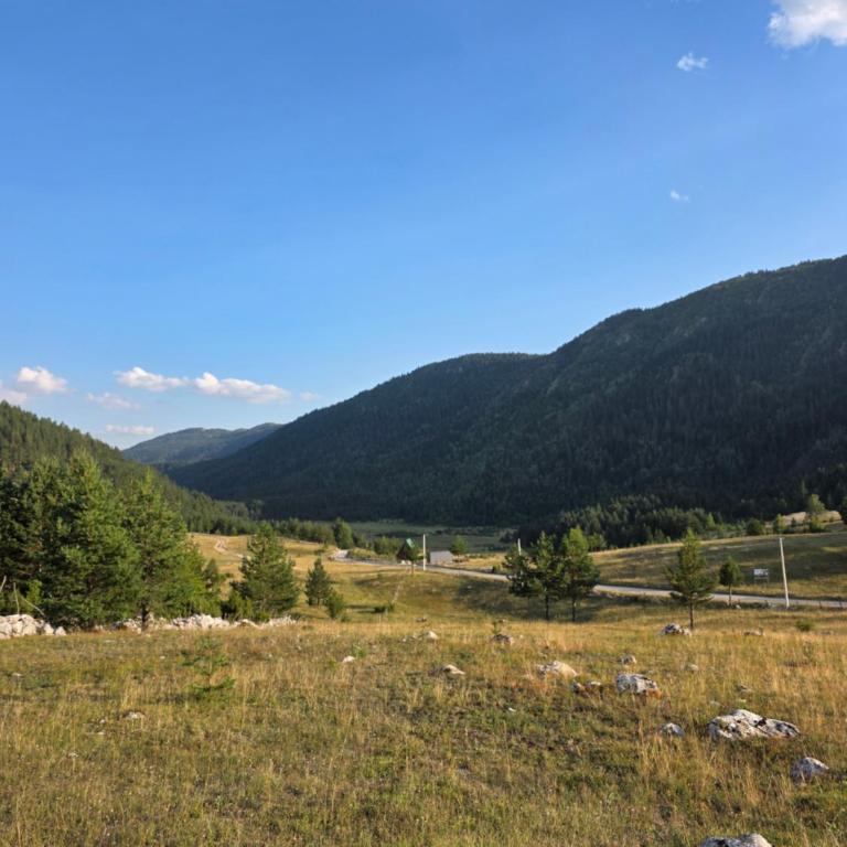 Mountain Peace Cottage - Three-Bedroom House - 29