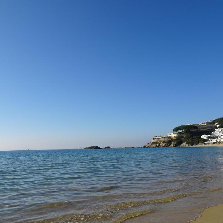 Apartament Belvedere - Apartamento de 2 dormitorios - 69