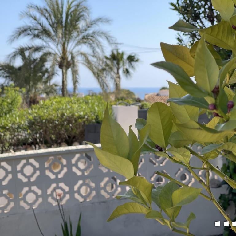 VH CostaBlanca- Orense - Villa mit 1 Schlafzimmer - 7