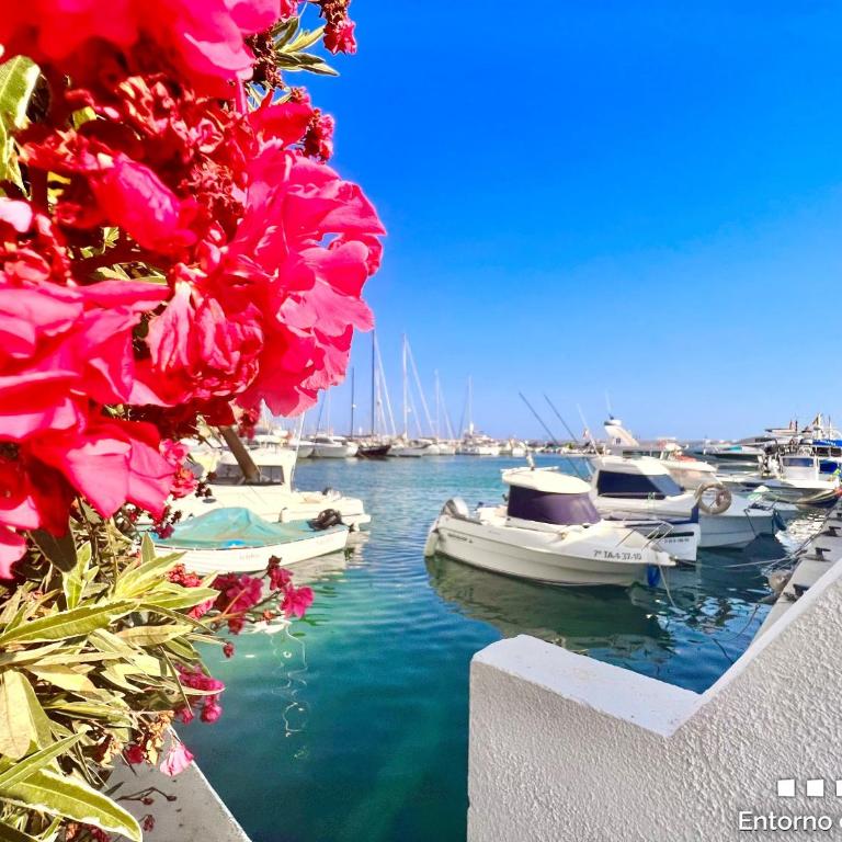 VH CostaBlanca- Orense - Villa mit 1 Schlafzimmer - 42
