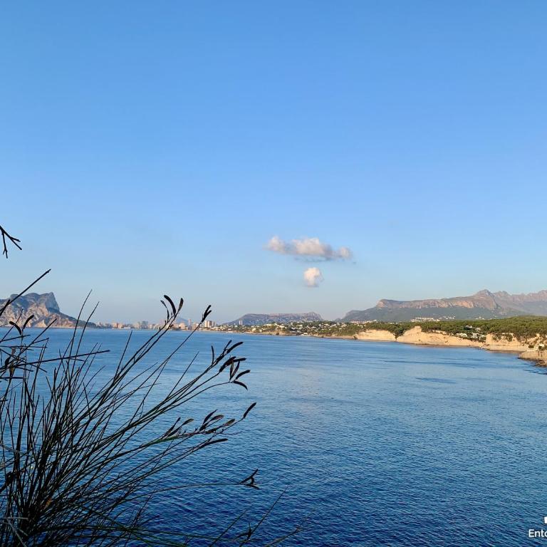 VH CostaBlanca- Orense - Villa mit 1 Schlafzimmer - 44