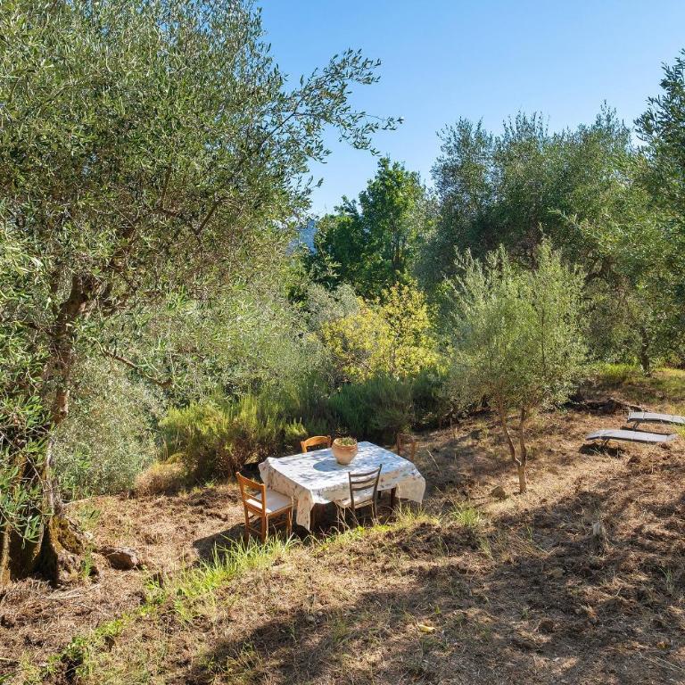 La petite bergerie dans la prairie - Maison 1 Chambre - 24