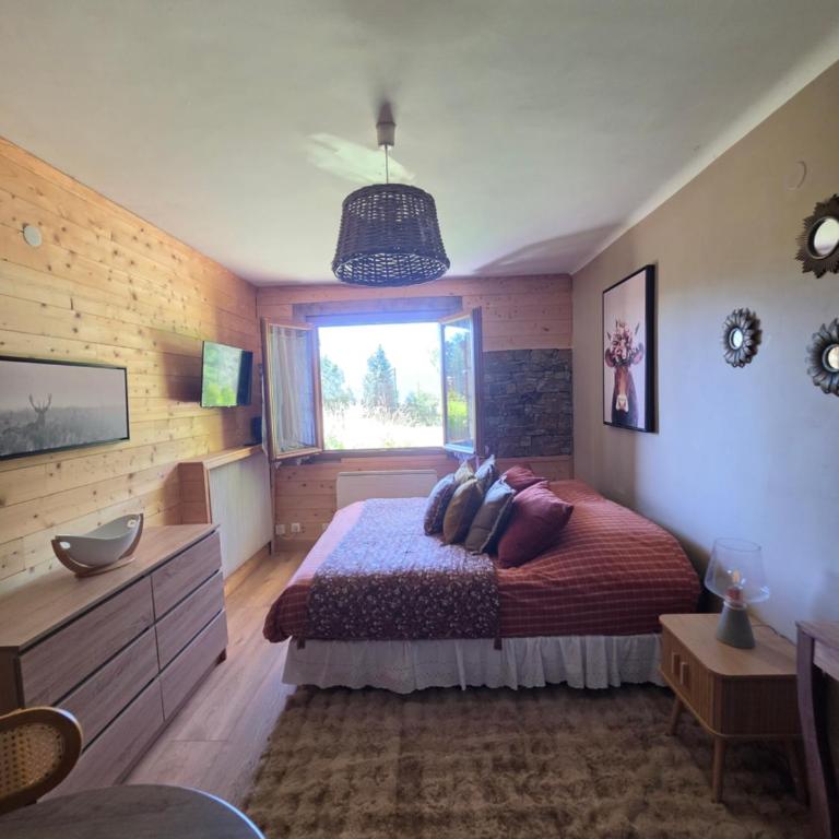 studio entier 25m2 proche centre ville Font Romeu - Appartement 1 Chambre - 16