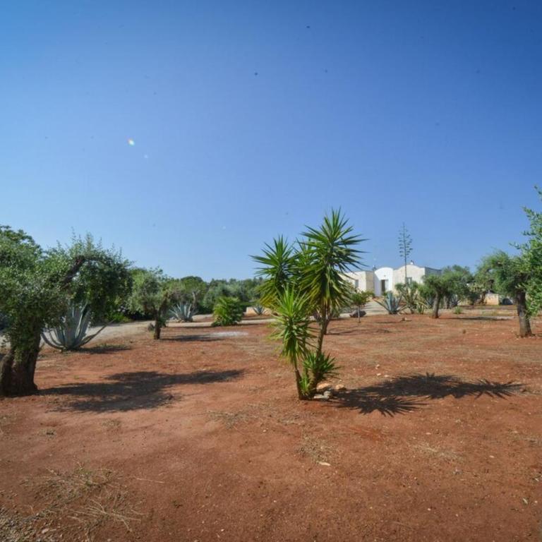 The Hidden Olive Grove - Pool Villa Ostuni - Villa - 42