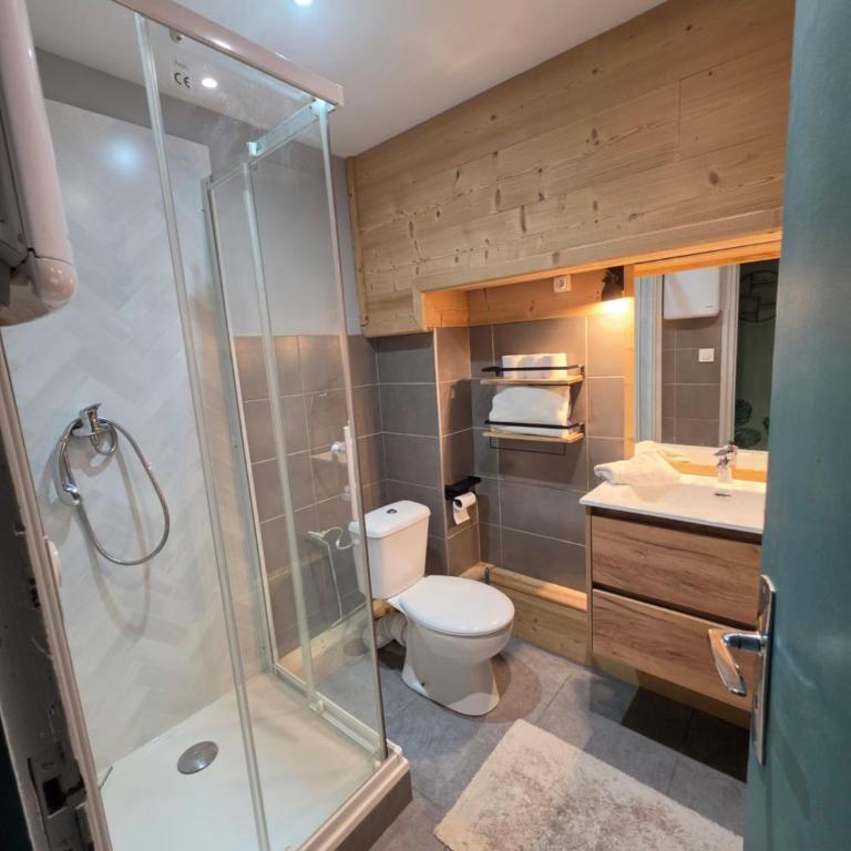 studio entier 25m2 proche centre ville Font Romeu - Appartement 1 Chambre - 14