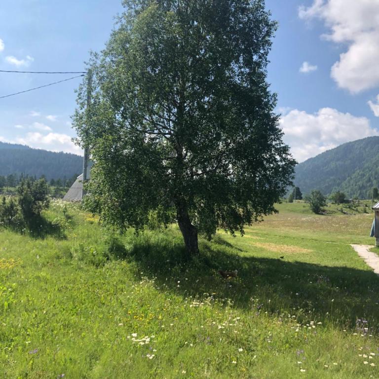 Ranč Doline - Kuća sa 1 Spavaćom Sobom - 16