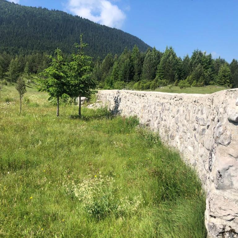 Ranč Doline - Kuća sa 1 Spavaćom Sobom - 18