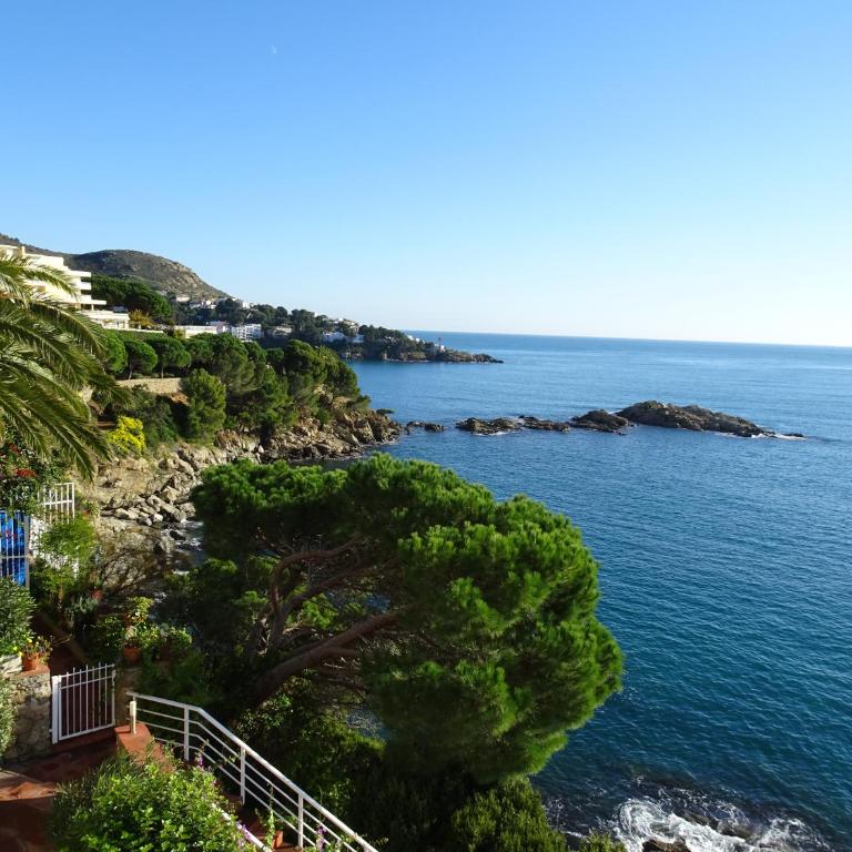 Apartament Belvedere - Apartamento de 2 dormitorios - 59