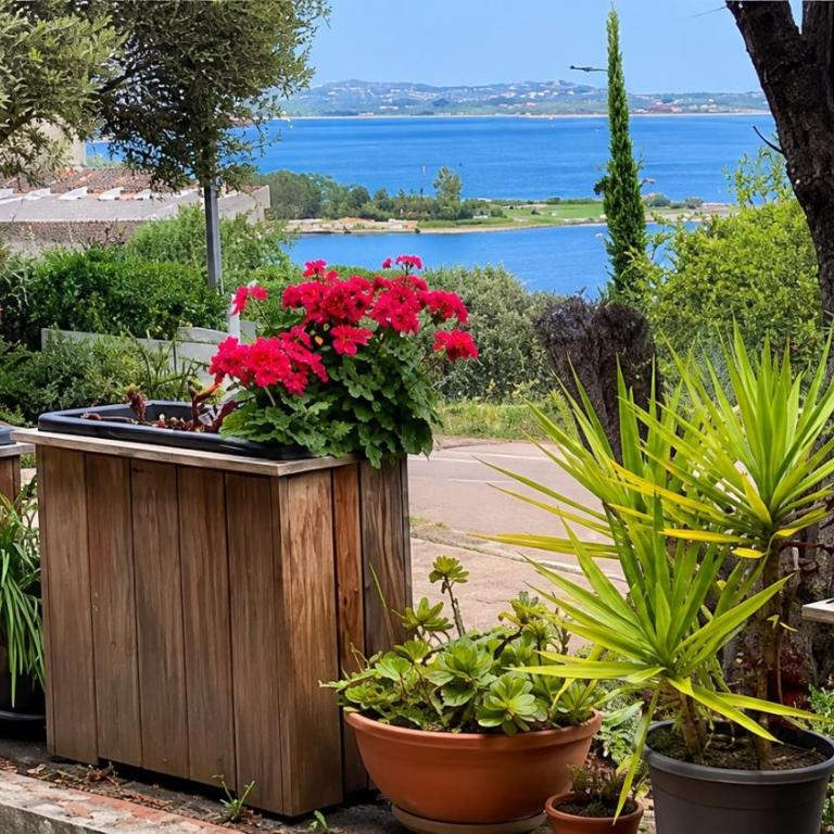 Villa vue mer à 5 minutes à pied du centre ville de Porto-Vecchio - Villa - Vue sur Mer - 8