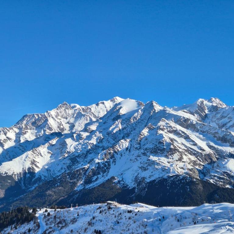 Cosy flat 400m from the pistes and TMB route - Appartamento con 2 Camere da Letto - 11