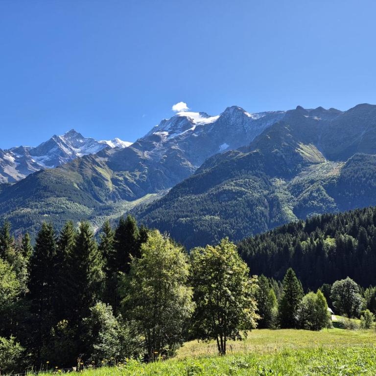 Cosy flat 400m from the pistes and TMB route - Appartamento con 2 Camere da Letto - 12