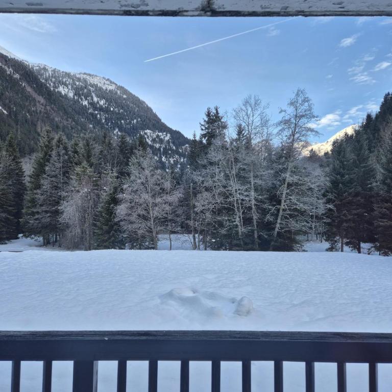 Cosy flat 400m from the pistes and TMB route - Appartamento con 2 Camere da Letto - 10