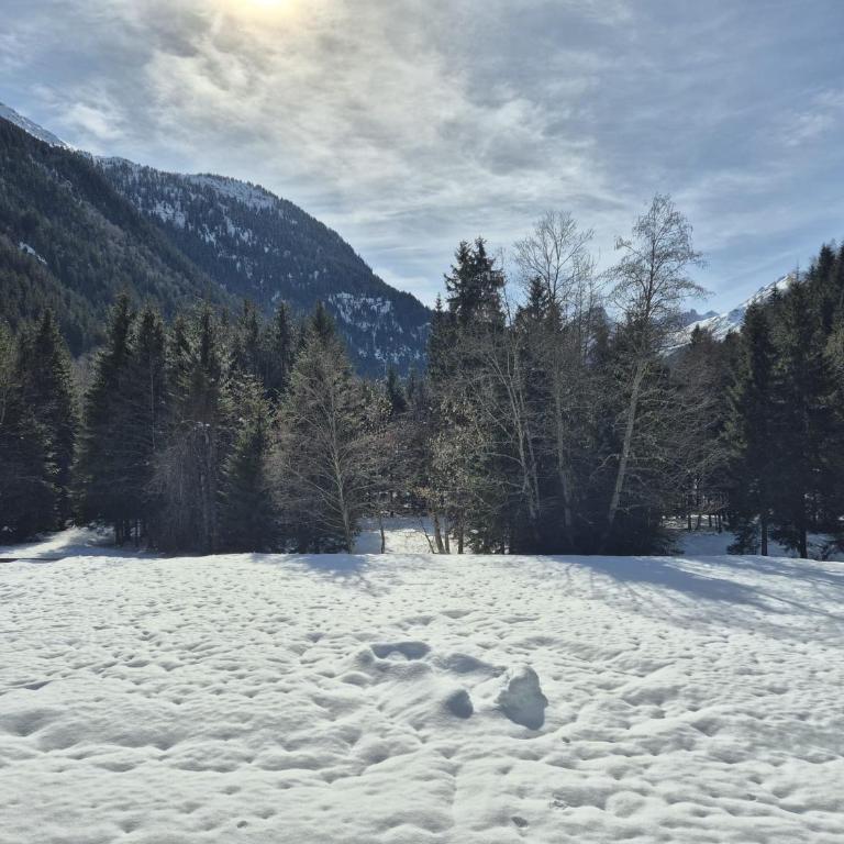 Cosy flat 400m from the pistes and TMB route - Appartamento con 2 Camere da Letto - 9