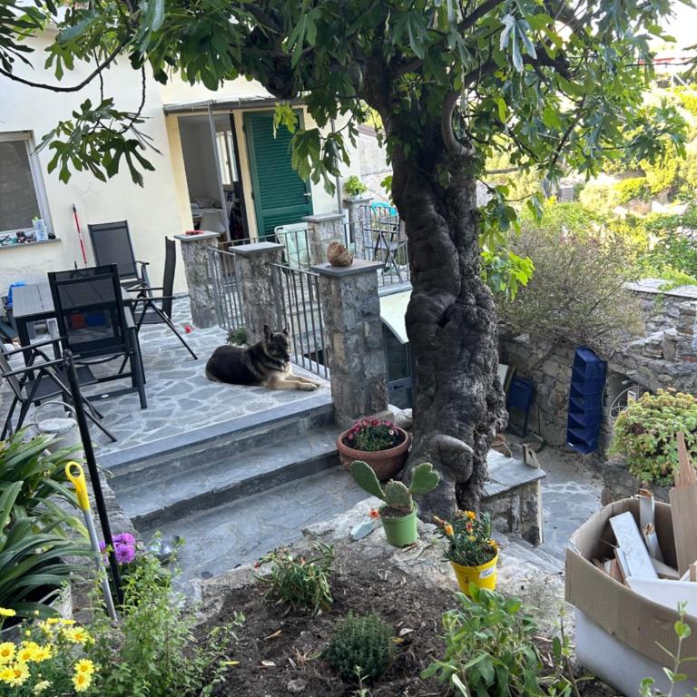 Afrodite - Villa con 2 Camere da Letto - 5