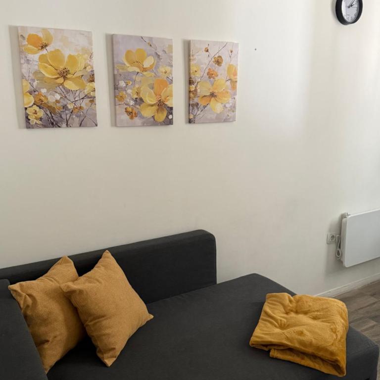 Apartments Balkanska City Center - Standard Studio - 14