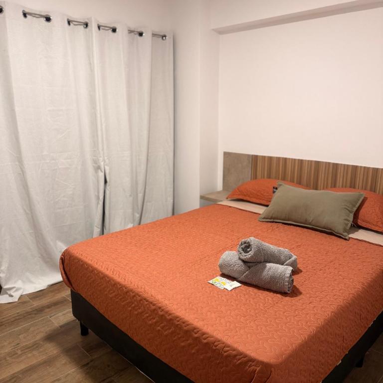 Departamento pleno centro Furnis punto alquiler - Apartamento de 2 dormitorios - 11