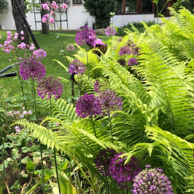 Ferienwohnung Bergulme - Apartment mit 3 Schlafzimmern und Bergblick - 23