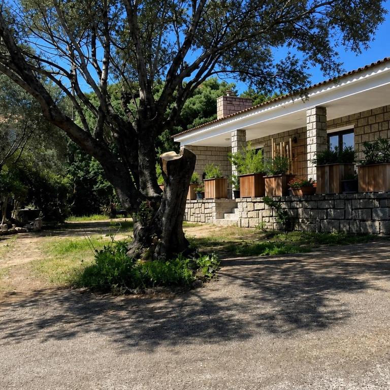 Villa vue mer à 5 minutes à pied du centre ville de Porto-Vecchio - Villa 2 Chambres - 1