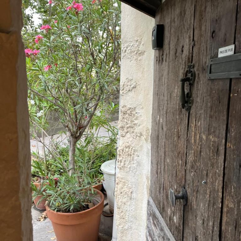 Townhouse charming and central - Appartement 1 Chambre - 4