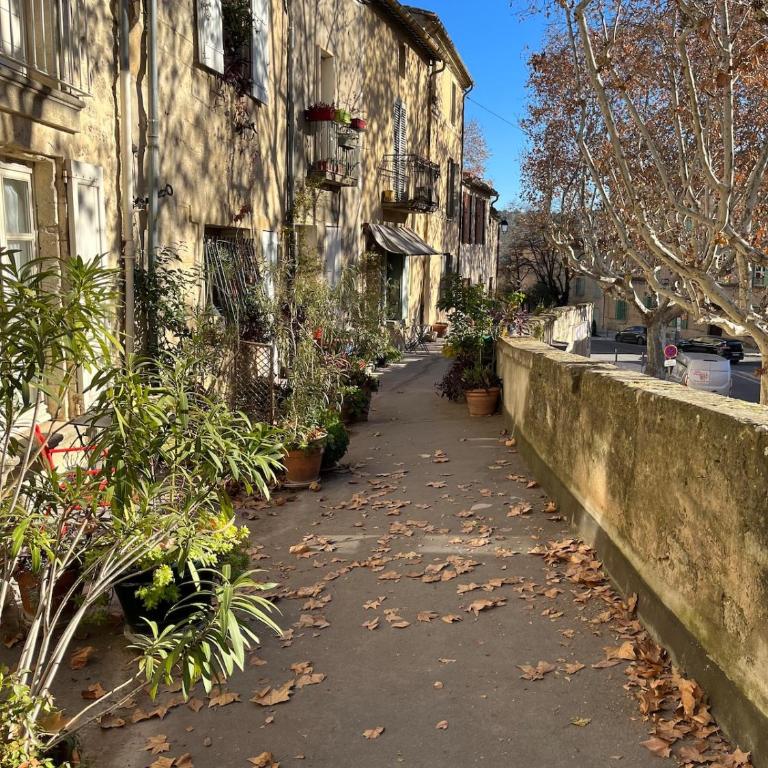 Townhouse charming and central - Appartement 1 Chambre - 5