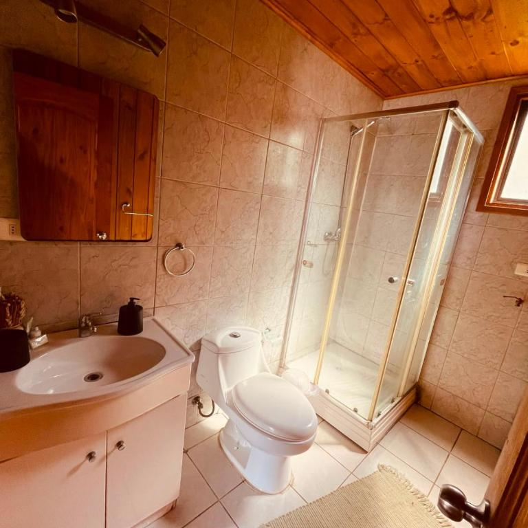 Cabañas en Valdivia LU - Casa de 2 dormitorios - 5
