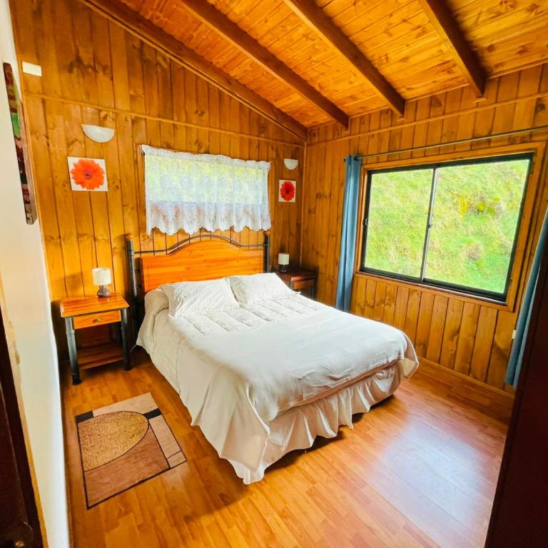 Cabañas en Valdivia LU - Casa de 2 dormitorios - 6