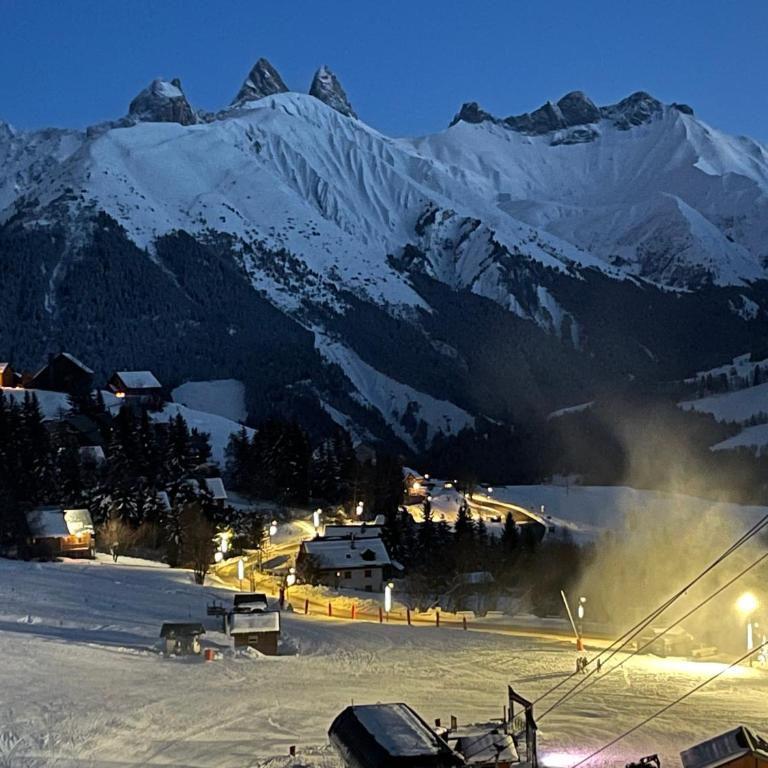 Le Petit Chalet - Chalet 3 Chambres - 19