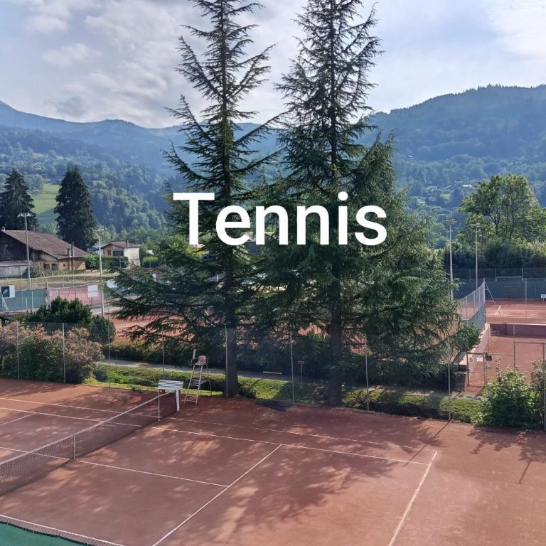 View Aravis & terrace close to thermal baths - Appartamento - 35