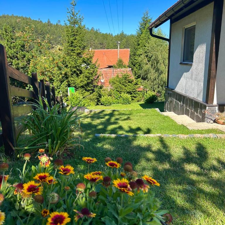 Vila Jela Tornik - Ferienhaus - 41