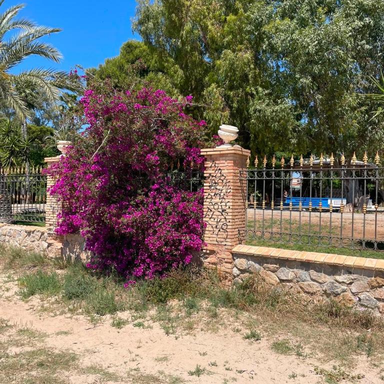 Paradisespagnol - Apartamento de 1 dormitorio - 19